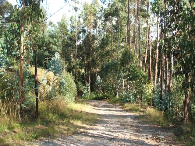 Quinta da Formiga