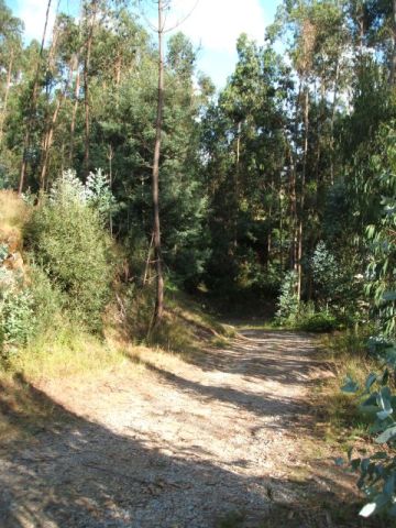 Quinta da Formiga