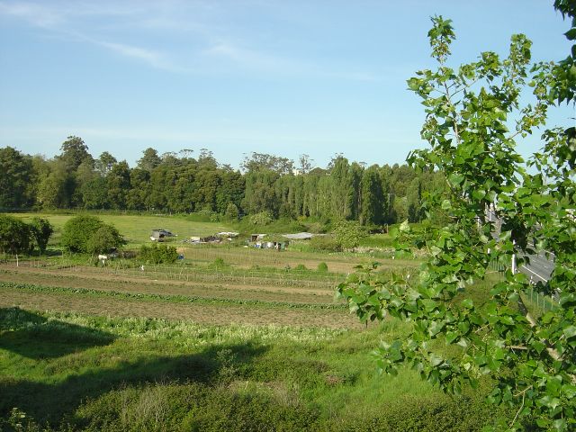 Quinta da Prelada