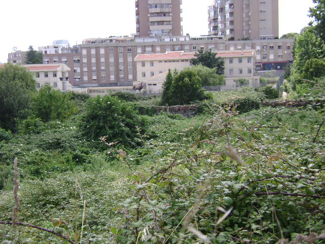 Quinta de Santo António de Águas Férreas