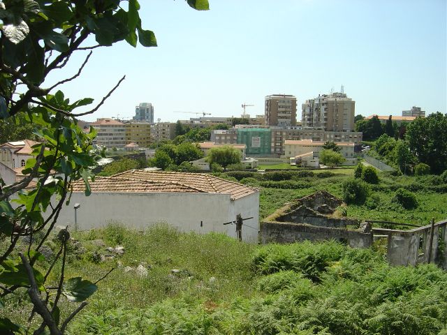Quinta de Santo António de Águas Férreas