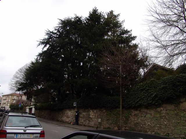 Quinta do Dr. Lage