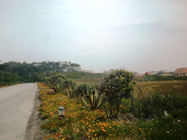 Quinta do Eng. Carvalho (Pinhal do Menéres)