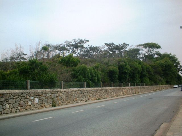 Quinta do Eng. Carvalho (Pinhal do Menéres)