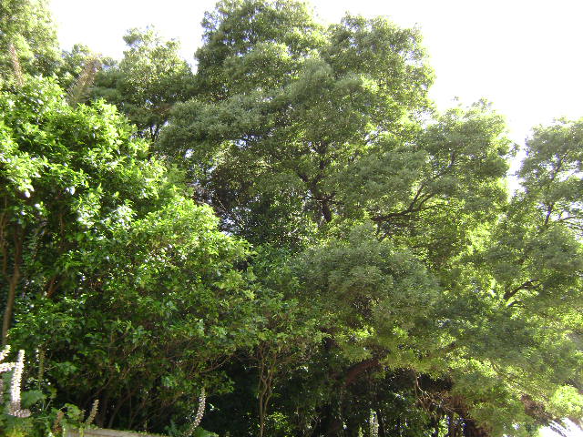Quinta do Monte