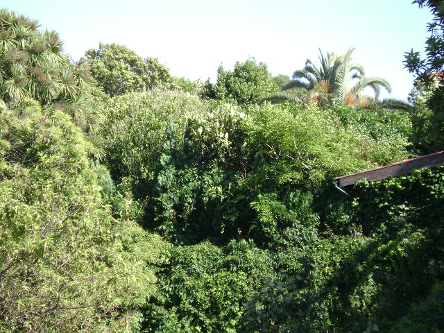Quinta do Monte