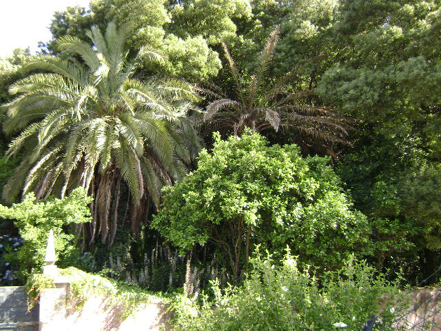 Quinta do Monte
