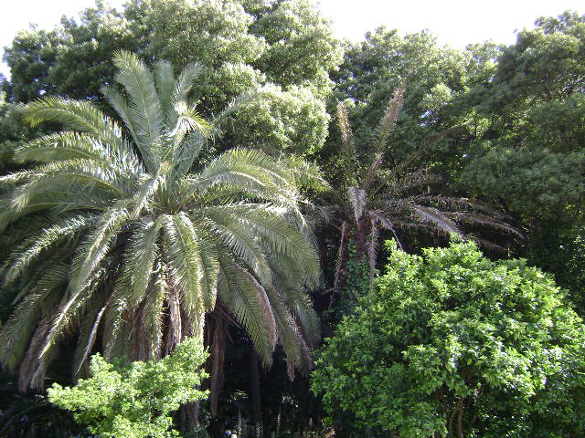 Quinta do Monte