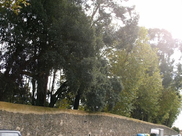 Quinta do Mosteiro de Grijó
