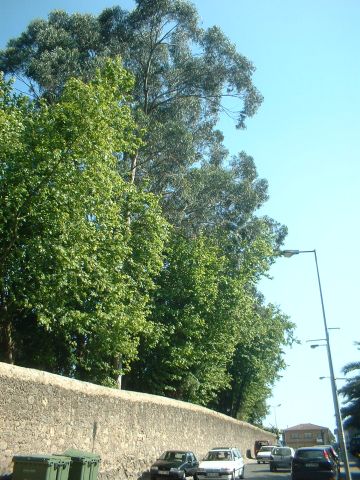 Quinta do Mosteiro de Grijó