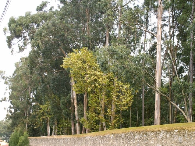 Quinta do Mosteiro de Grijó