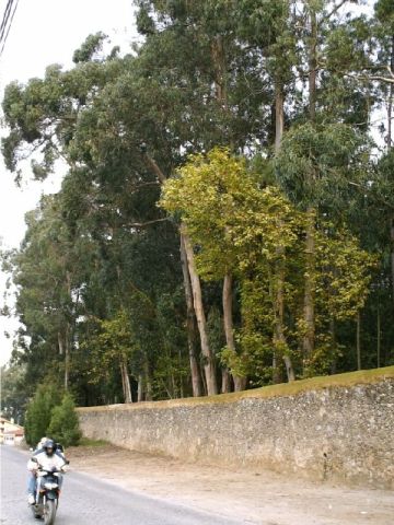 Quinta do Mosteiro de Grijó