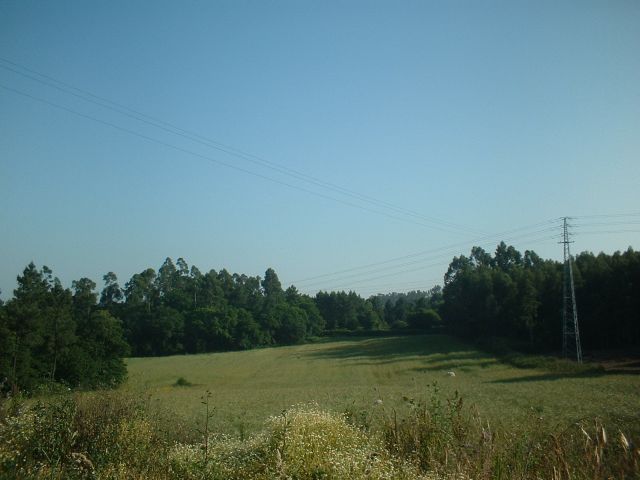 Quinta do Mosteiro de Pedroso