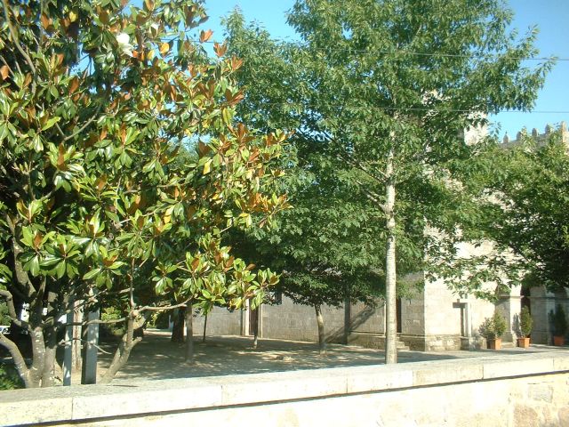 Quinta do Mosteiro de Pedroso