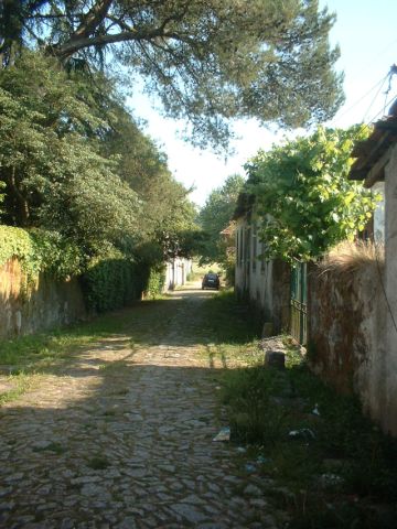 Quinta do Mosteiro de Pedroso