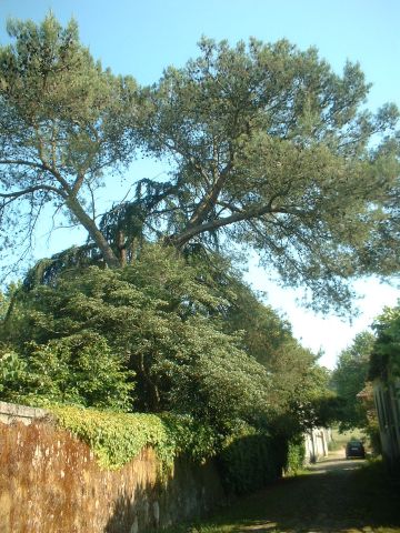 Quinta do Mosteiro de Pedroso