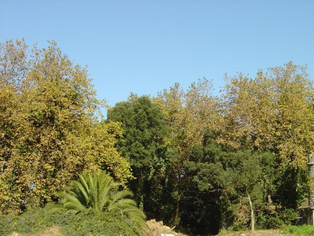 Quinta dos Ananases