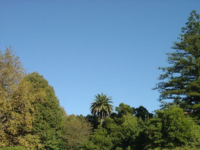 Quinta dos Ananases