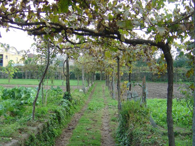 Quinta dos Frades Menores Capuchinhos