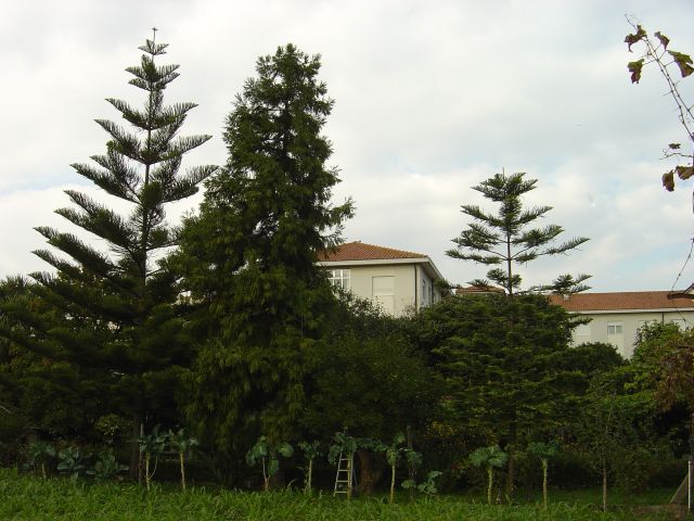 Quinta dos Frades Menores Capuchinhos