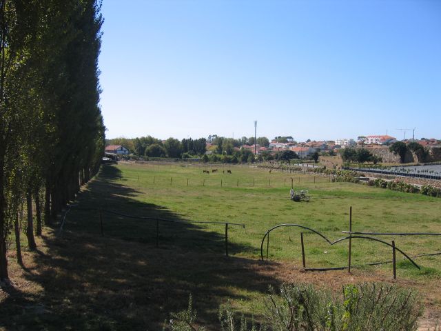 Quinta dos Passais (ou Quinta do Paço)