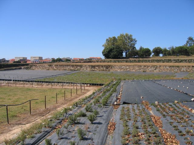 Quinta dos Passais (ou Quinta do Paço)