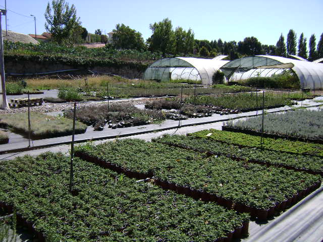 Quinta dos Passais (ou Quinta do Paço)