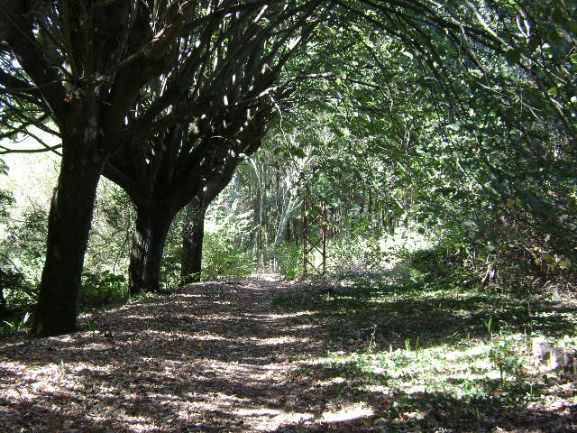 Quinta Marques Gomes