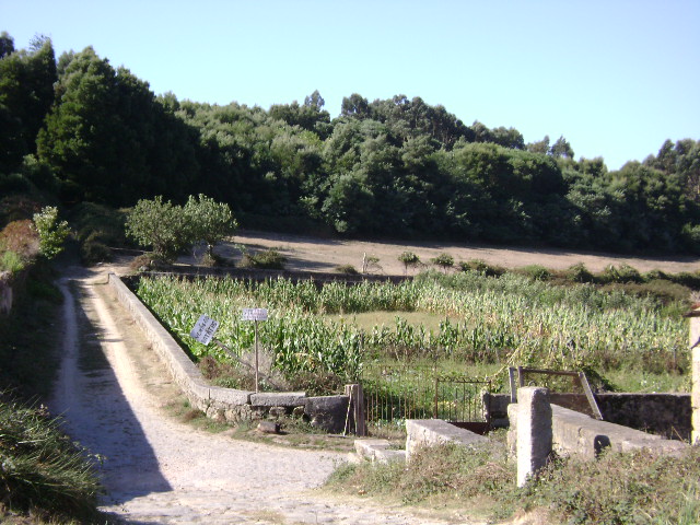 Quinta Marques Gomes