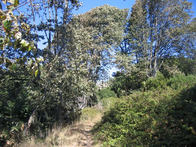 Quinta Marques Gomes