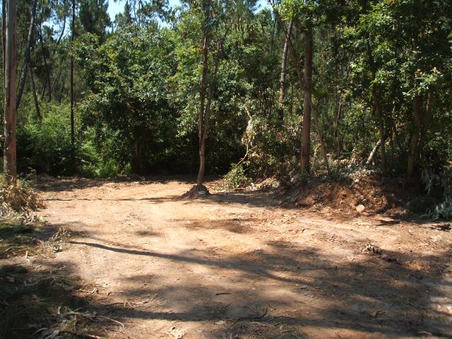 Ribeira de Painçais