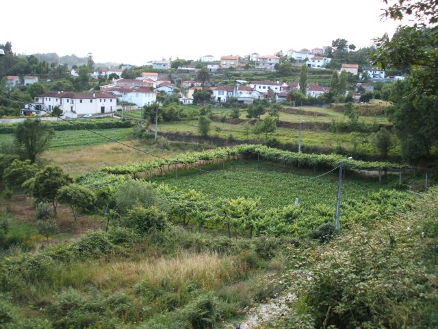 Ribeira de Vila Cova (ou de Rebentão)