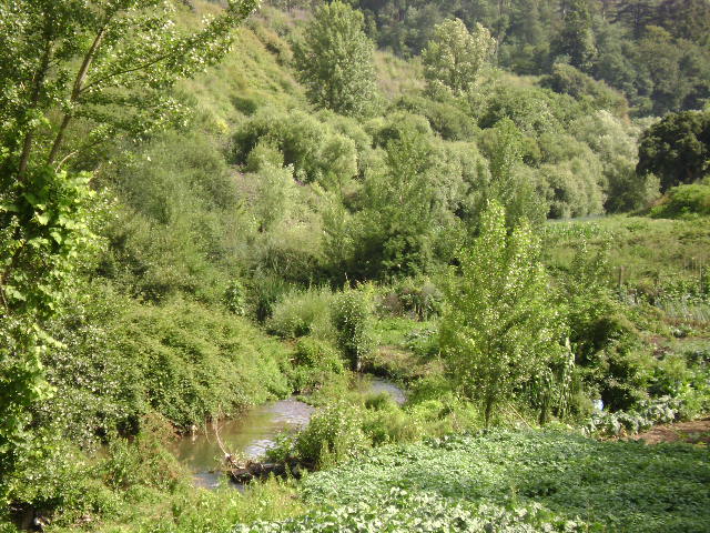 Rio Torto