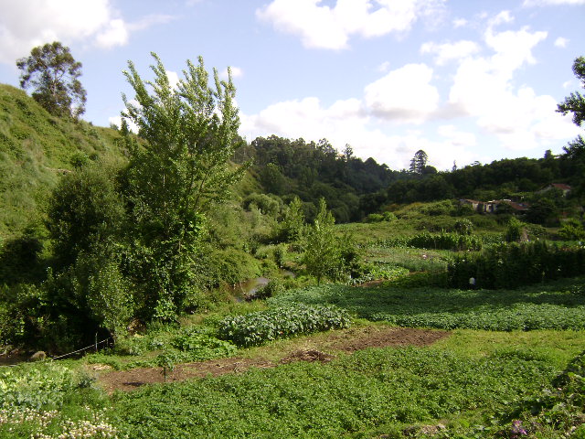 Rio Torto