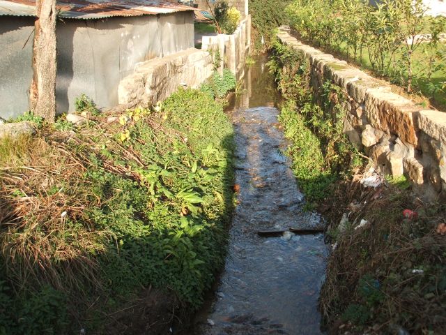 Rio Torto