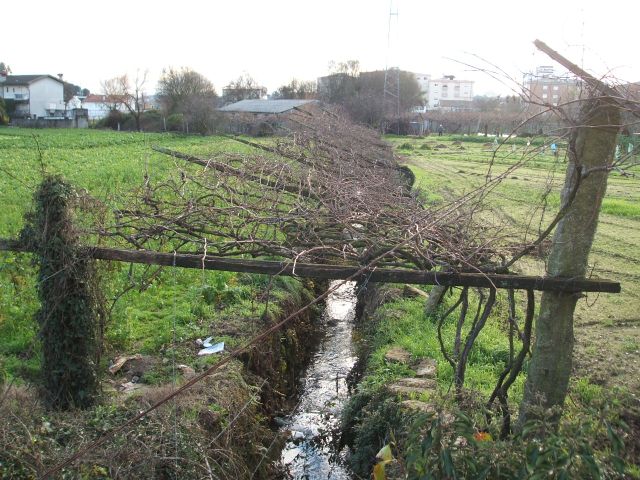 Rio Torto
