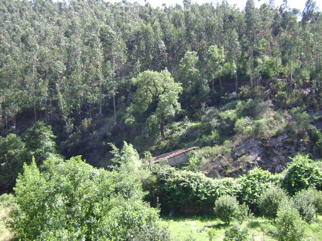 Rio Uíma
