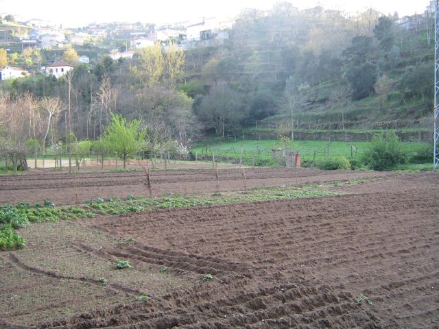 Rio Uíma