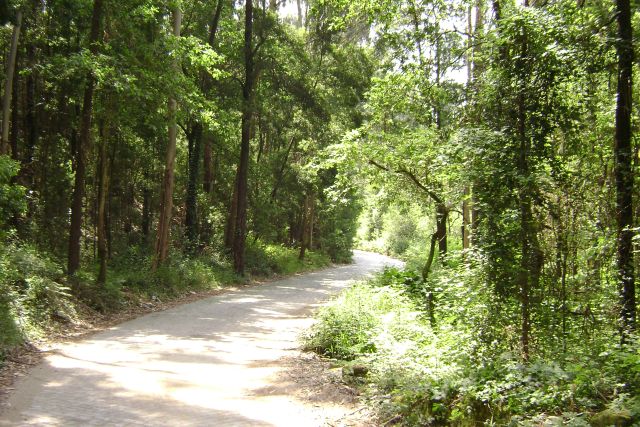 Serra de Negrelos (ou Serra de Canelas)