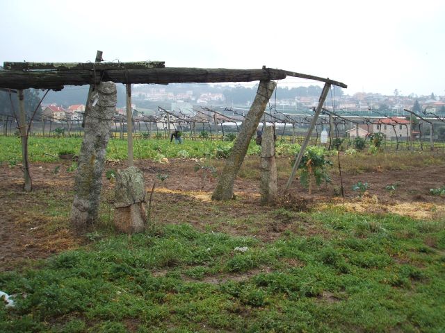 Zona agrícola em São Cosme