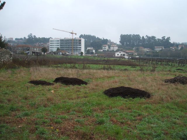 Zona agrícola em São Cosme