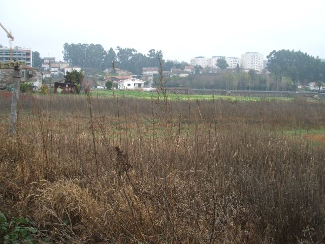 Zona agrícola em São Cosme