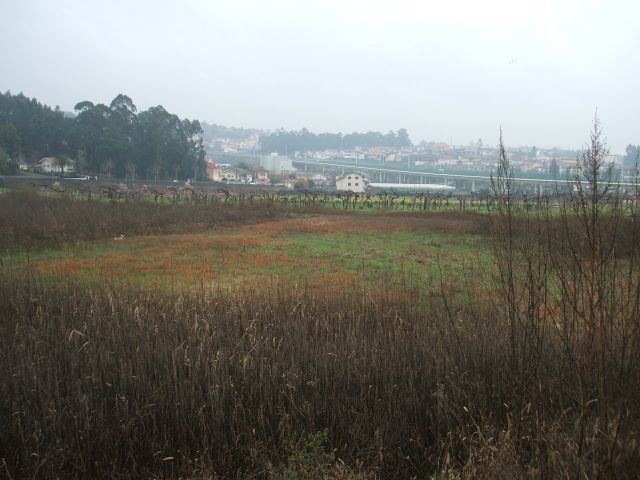 Zona agrícola em São Cosme