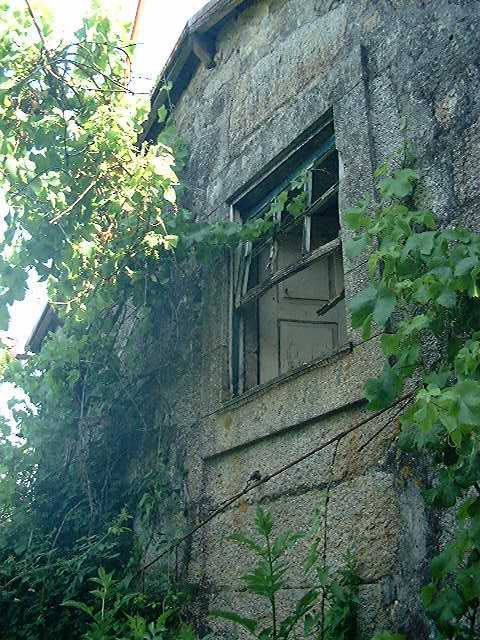 Zona verde circundante ao rio Leça